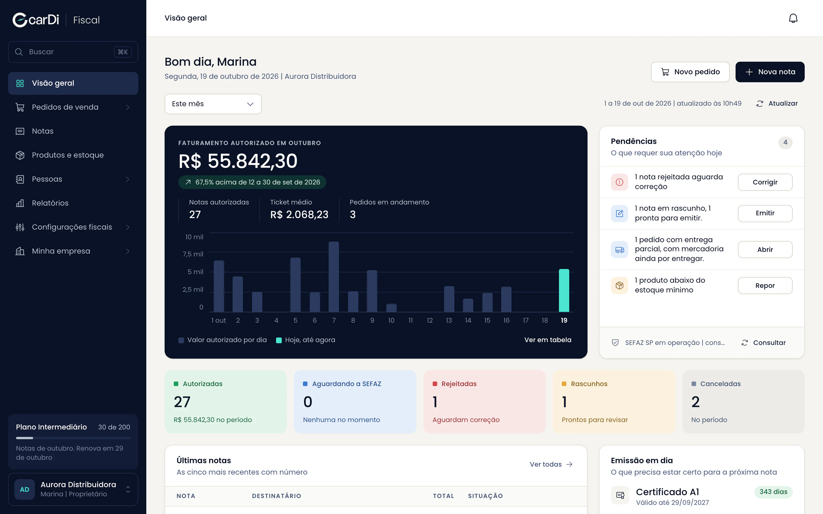 Visão geral com indicadores do mês, gráfico de emissão por dia e pendências