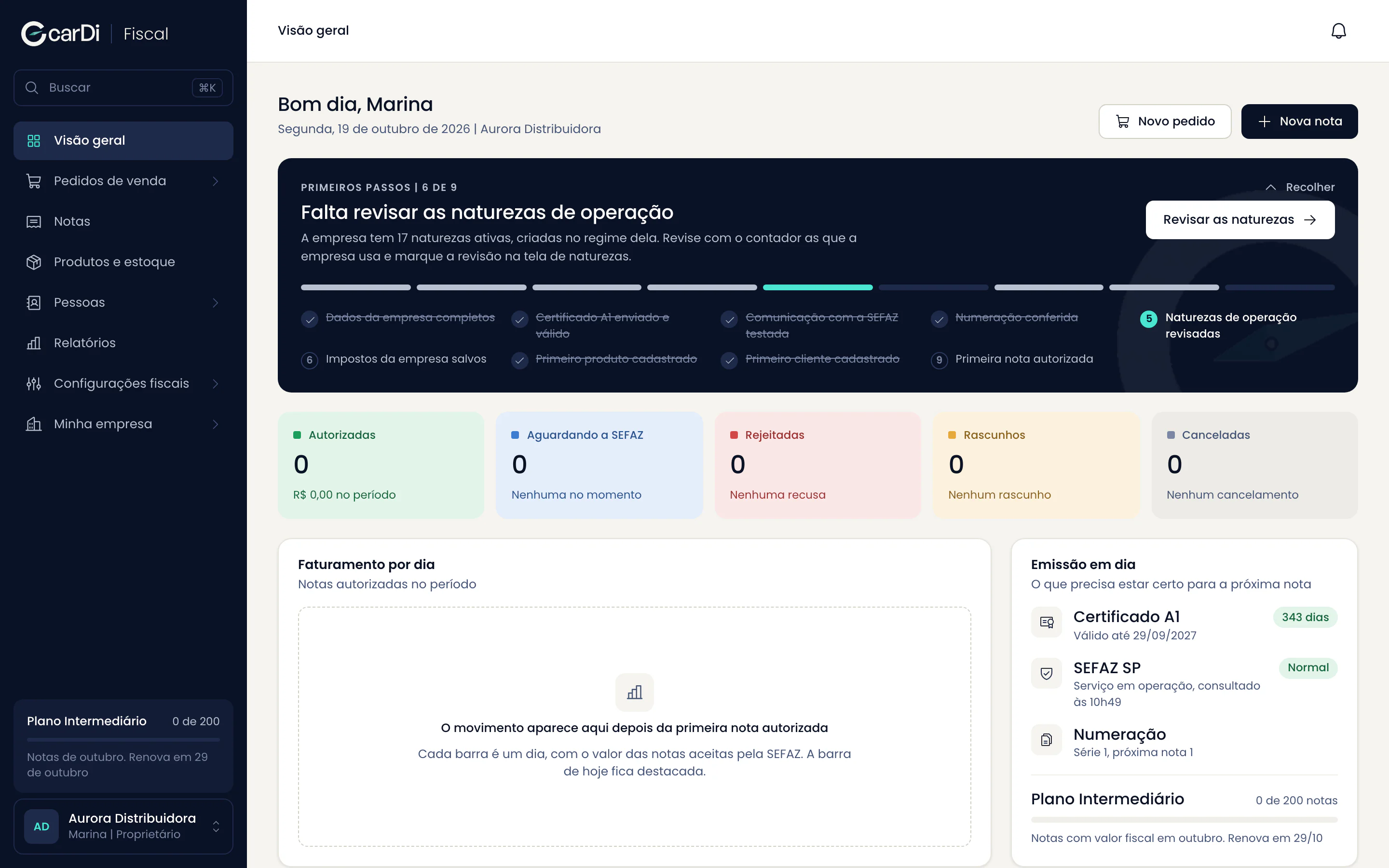 Primeiros passos no painel, com seis de nove passos concluídos e o próximo passo em destaque