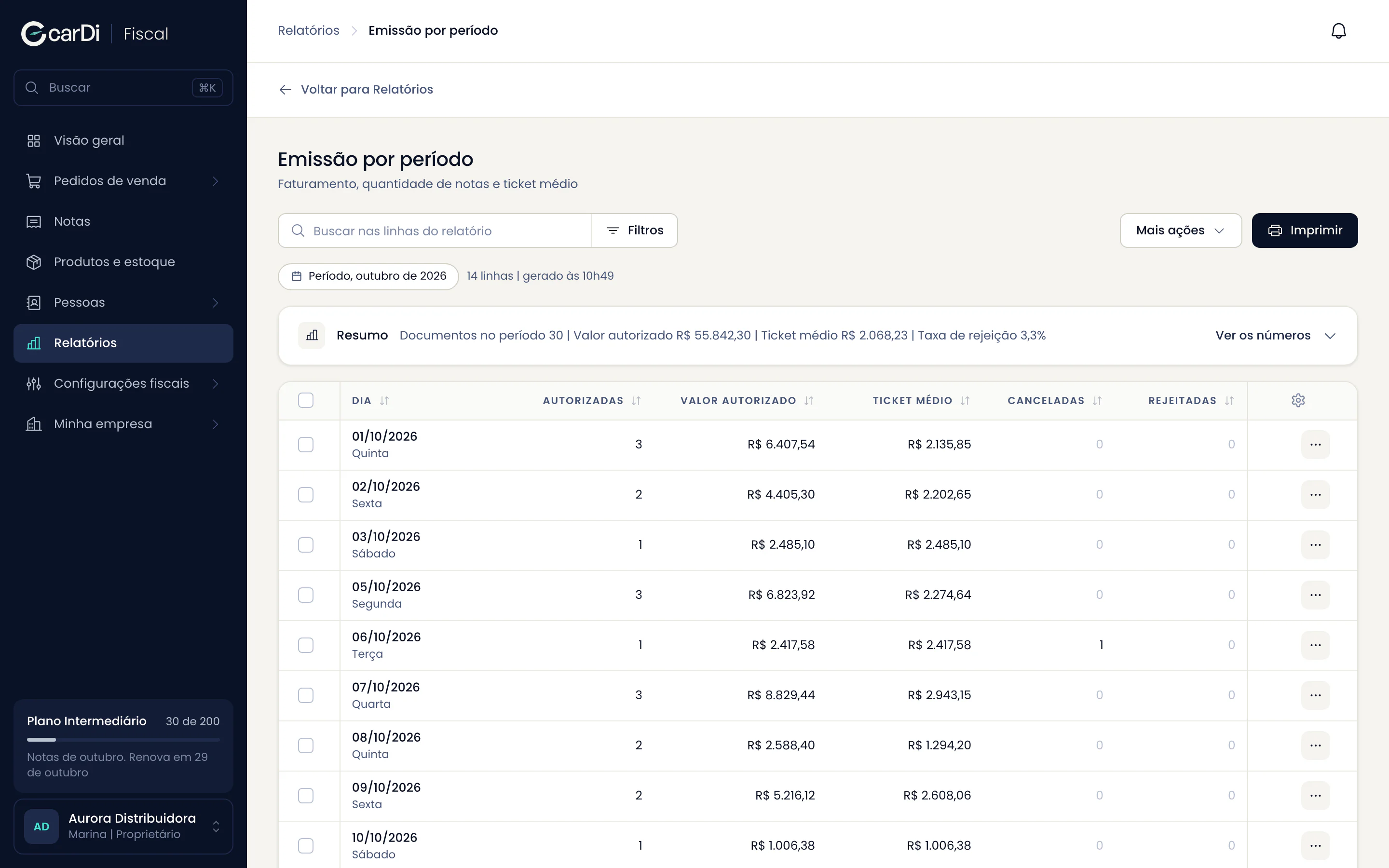 Relatório de emissão por período com o resumo e as linhas por dia